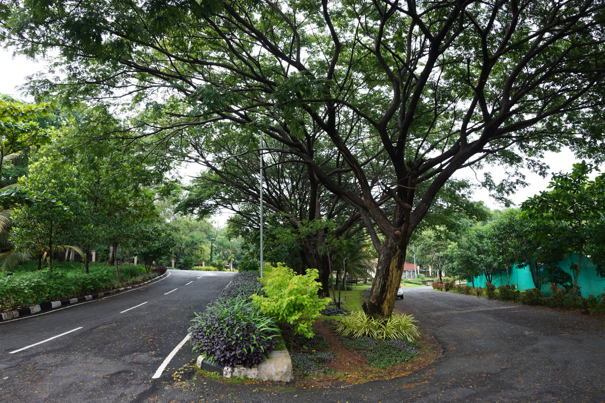 DSC07552
